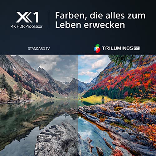 Sony BRAVIA, KD-55X80L, 55 Zoll Fernseher, LED, 4K HDR, Google TV, Smart TV, Works with Alexa, BRAVIA CORE, TRILUMINOS PRO, HDMI 2.1, Gaming-Menü mit ALLM
