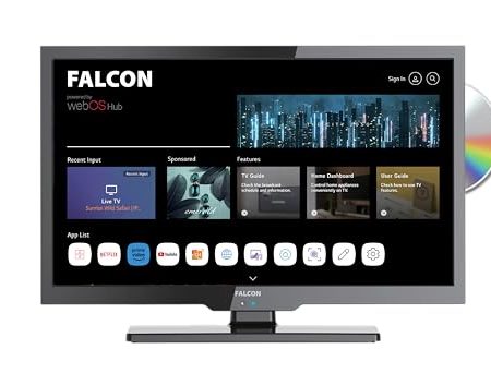Falcon 19 Zoll WebOS SMART TV WLAN Camping Fernseh, 12V/24V/240V Fernseher mit DVD Player integriert und Receiver, Bluetooth 5.0, Sprachsteuerung, Appsteuerung, Streaming IPTV Netflix YouTube DAZN