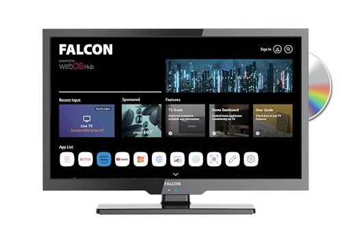 Falcon 19 Zoll WebOS SMART TV WLAN Camping Fernseh, 12V/24V/240V Fernseher mit DVD Player integriert und Receiver, Bluetooth 5.0, Sprachsteuerung, Appsteuerung, Streaming IPTV Netflix YouTube DAZN