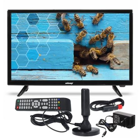 ANKARO ANK CL-1901-19 Zoll LED TV perfekt für Camping - 12V / 230V Betrieb mit Triple Tuner (DVB-S2/ C/ T2) inkl. KFZ Adapter und DVB-T Antenne – CI+ Steckplatz, PVR Funktion, HDMI, USB 2.0, Schwarz