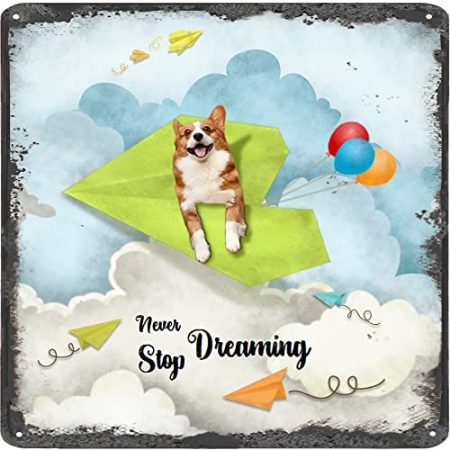 Finamille Inspirierende Wandkunst – Never Stop Dreaming, Corgi Dog Vintage Blechschild – Ballondekoration – Papier Flugzeug motivierendes Poster quadratisches Schild 30,5 x 30,5 cm