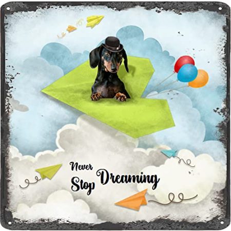 Finamille Inspirierende Wandkunst – Never Stop Dreaming,Dackel Hund Vintage Blechschild – Ballondekoration – Motivationsposter Papier Flugzeug rustikales Wandschild 30,5 x 30,5 cm