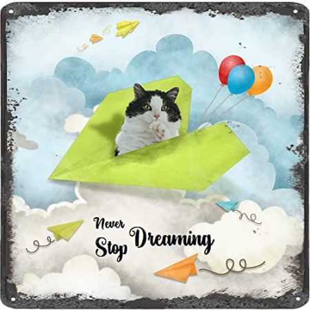 Finamille Inspirierende Wandkunst – Never Stop Dreaming, Katze Vintage Blechschild – Ballondekoration – Papier Flugzeug motivierendes Poster quadratisches Schild 30,5 x 30,5 cm