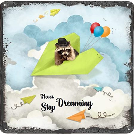 Finamille Inspirierende Wandkunst – Never Stop Dreaming, Raccoon Vintage Blechschild – Ballondekoration – Papier Flugzeug motivierendes Poster rustikales Wandschild 30,5 x 30,5 cm
