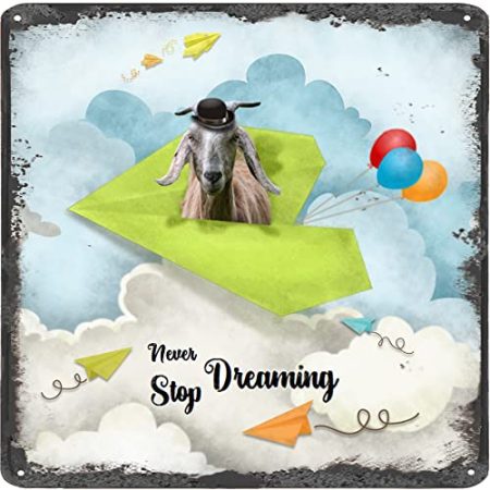 Finamille Inspirierende Wandkunst – Never Stop Dreaming, Ziege Vintage Blechschild – Ballondekoration – Papier Flugzeug motivierendes Poster quadratisches Schild 30,5 x 30,5 cm