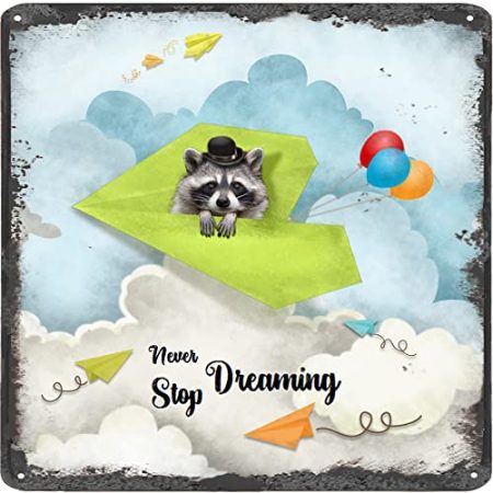 Finamille Inspirierende Wandkunst – Never Stop Dreaming, Raccoon Vintage Blechschild – Ballondekoration – motivierendes Poster Papier Flugzeug rustikale Wanddekoration 30,5 x 30,5 cm