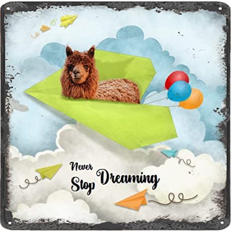 Finamille Inspirierende Wandkunst – Never Stop Dreaming, Lama Vintage Blechschild – Ballondekoration – Papier Flugzeug motivierendes Poster quadratisches Schild 30,5 x 30,5 cm