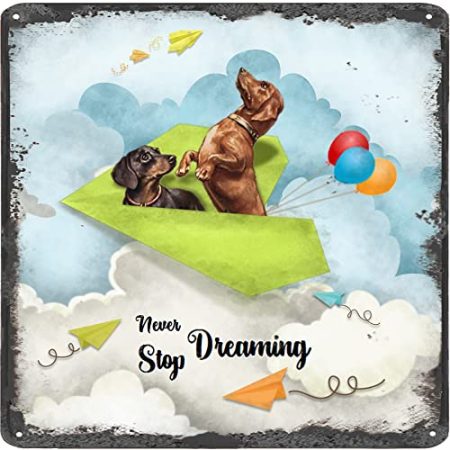 Finamille Inspirierende Wandkunst – Never Stop Dreaming,Dackel Hunde Vintage Blechschild – Ballondekoration – Papier Flugzeug motivierendes Poster quadratisches Schild 30,5 x 30,5 cm