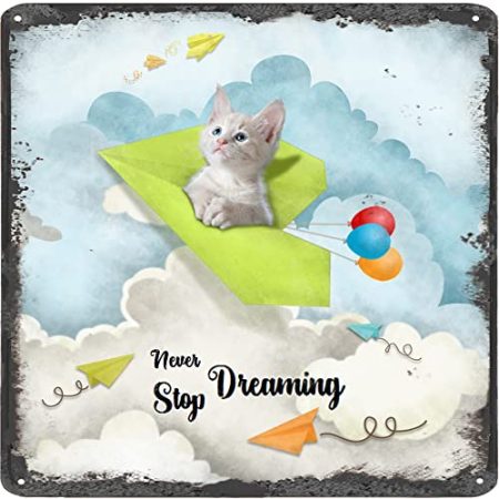 Finamille Inspirierende Wandkunst – Never Stop Dreaming, Katze Vintage Blechschild – Ballondekoration – Papier Flugzeug motivierendes Poster rustikales Wandschild 30,5 x 30,5 cm
