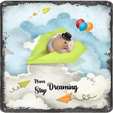 Finamille Inspirierende Wandkunst – Never Stop Dreaming, Hamster Vintage Blechschild – Ballondekoration – Papier Flugzeug motivierendes Poster quadratisches Schild 30,5 x 30,5 cm