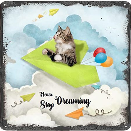Finamille Inspirierende Wandkunst – Never Stop Dreaming, Katze Vintage Blechschild – Ballondekoration – motivierendes Poster Papier Flugzeug rustikale Wanddekoration 30,5 x 30,5 cm