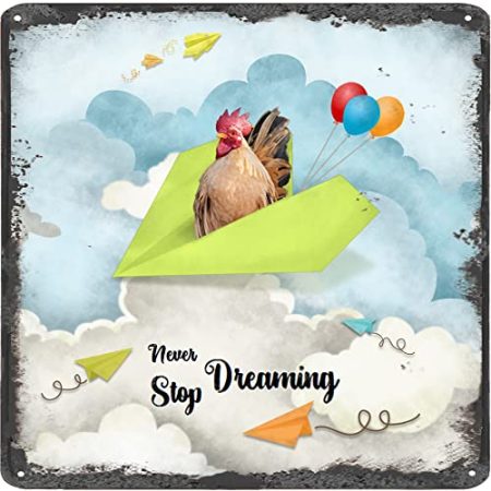 Finamille Inspirierende Wandkunst – Never Stop Dreaming,Rooster Vintage Blechschild – Ballondekoration – Papier Flugzeug motivierendes Poster quadratisches Schild 30,5 x 30,5 cm