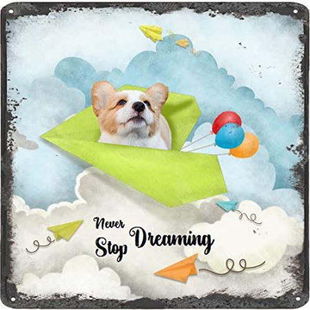 Finamille Inspirierende Wandkunst – Never Stop Dreaming, Collie Dog Vintage Blechschild – Ballondekoration – Papier Flugzeug Motivational Poster rustikales Wandschild 30,5 x 30,5 cm