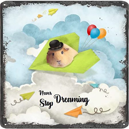 Finamille Inspirierende Wandkunst – Never Stop Dreaming,Hamster Vintage Blechschild – Ballondekoration – Papier Flugzeug motivierendes Poster rustikales Wandschild 30,5 x 30,5 cm