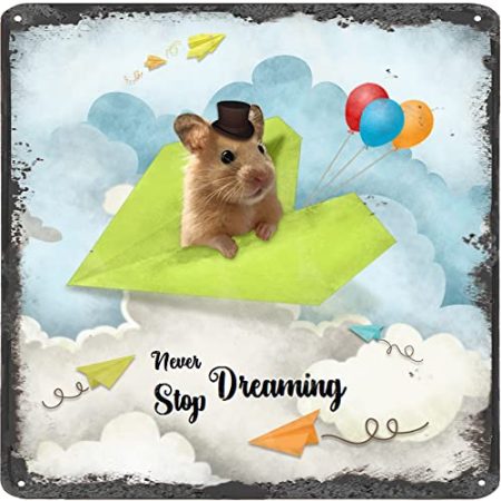 Finamille Inspirierende Wandkunst – Never Stop Dreaming, Hamster-Vintage-Blechschild – Ballondekoration – motivierendes Poster Papier Flugzeug rustikales Wandschild 30,5 x 30,5 cm