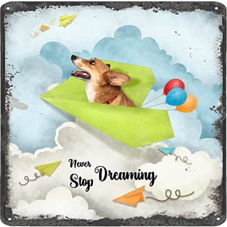 Finamille Inspirierende Wandkunst – Never Stop Dreaming,Hund Vintage Blechschild – Ballondekoration – motivierendes Poster Papier Flugzeug rustikales Wandschild 30,5 x 30,5 cm