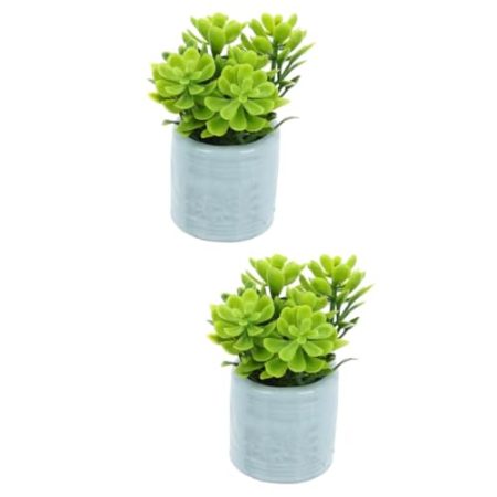 ibasenice 2st Mini-Bonsai Möbel Aus Kunstharz Wohnkultur Sukkulenten-übertopf Im Topf Mini-topfpflanze Für Puppenhaus Zubehör Kinder Ornament Miniatur Plastik Kleine Topfpflanzen Ob11