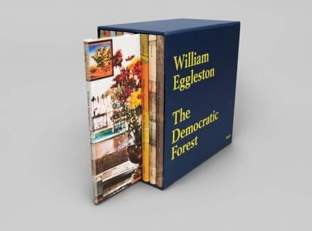 The Democratic Forest