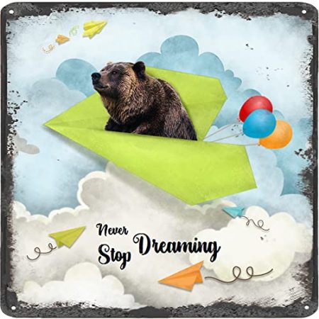 Finamille Inspirierende Wandkunst – Never Stop Dreaming, Bär Vintage Blechschild – Ballondekoration – Papier Flugzeug motivierendes Poster rustikales Wandschild 30,5 x 30,5 cm