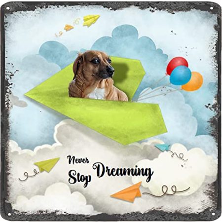 Finamille Inspirierende Wandkunst – Never Stop Dreaming,Dackel Hund Vintage Blechschild – Ballondekoration – Papier Flugzeug motivierendes Poster quadratisches Schild 30,5 x 30,5 cm