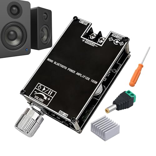 Xijobido Audio-Verstärker-Modul,100W Mono Verstärkermodul | Zubehör Für Heimstudio Live-Beschallung Outdoor-Events Mit Wireless Subwoofer
