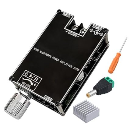 Audio-Verstärker-Modul | 100W Mono Verstärkermodul | Zubehör Für Heimstudio Live-Beschallung Outdoor-Events Mit Wireless Subwoofer