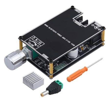 Audio-Verstärker-Modul - 100W Mono Lautsprecher-Verstärkerplatine,Drahtloses Audio-Zubehör Für Auto Haushalt Outdoor Veranstaltungen