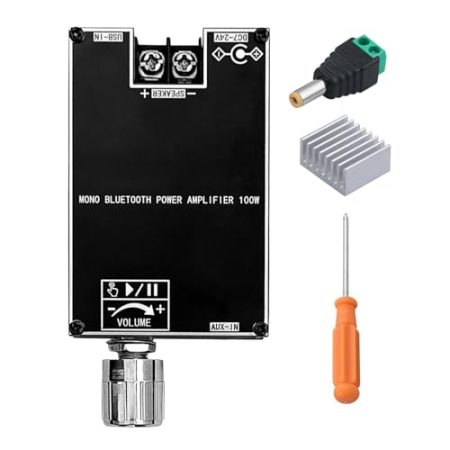 Hogvinnatil Drahtlose Verstärkerplatine | 100W Mono Lautsprecher-Verstärkerplatine,Tragbares Subwoofer-Zubehör Für Outdoor-Events Mit Bassverstärkung